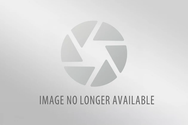 11703572_961436338080_5858010884588445105_o