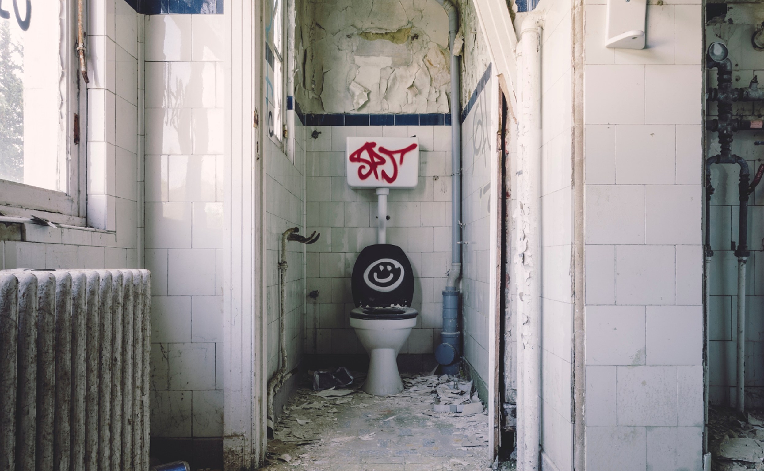 Resist the urge to toilet-scroll. Photo by Gabor Monori on Unsplash   