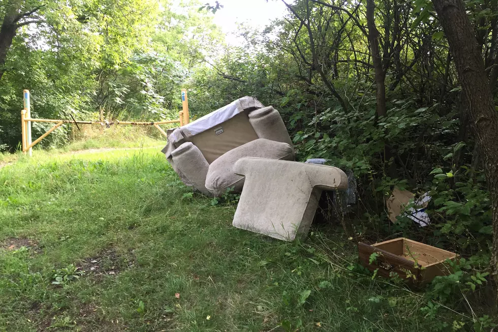 How Do People Who Dump Their Garbage Illegally Not Feel Guilty