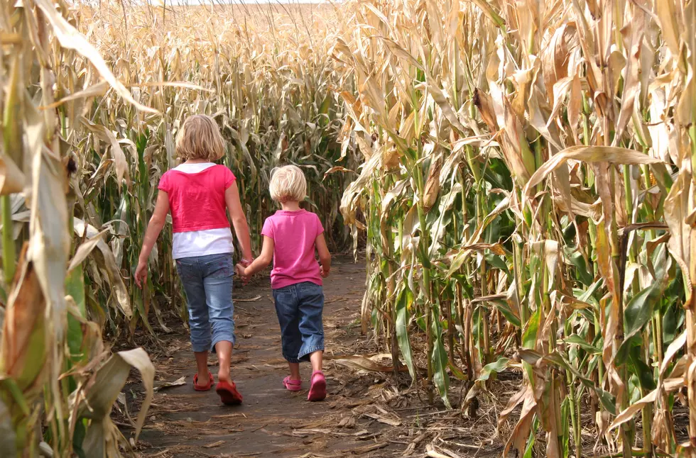 Oulu Corn Maze In Wisconsin Hosting Halloween Event