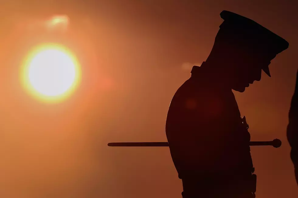 The VFW Works To Support Veterans One Buddy Poppy At A Time